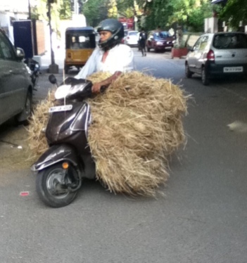 Motorbike carrying Hay Bale cropped